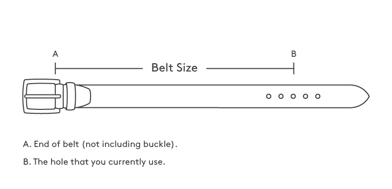 belt_length
