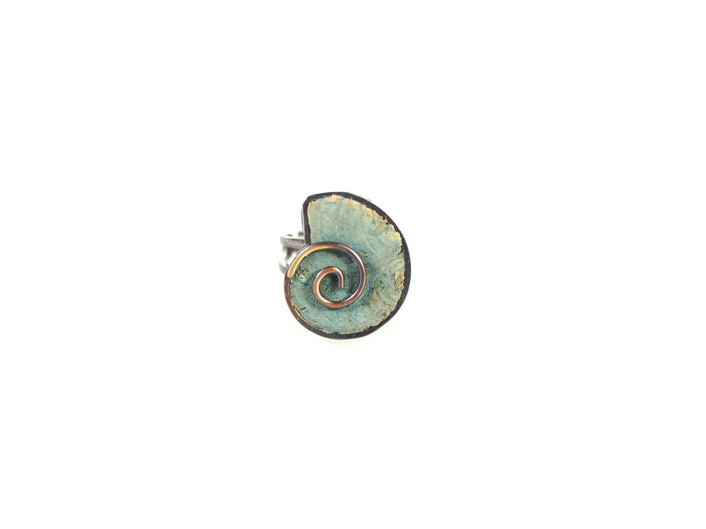 B U R 003.50 Bl Ring Snail