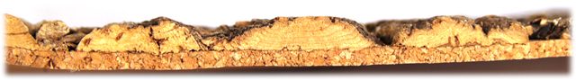 970 1 Aquaristic cork bark wall cork 3