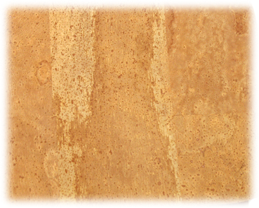 0010 N Cork fabric Soft quality For clothing 3