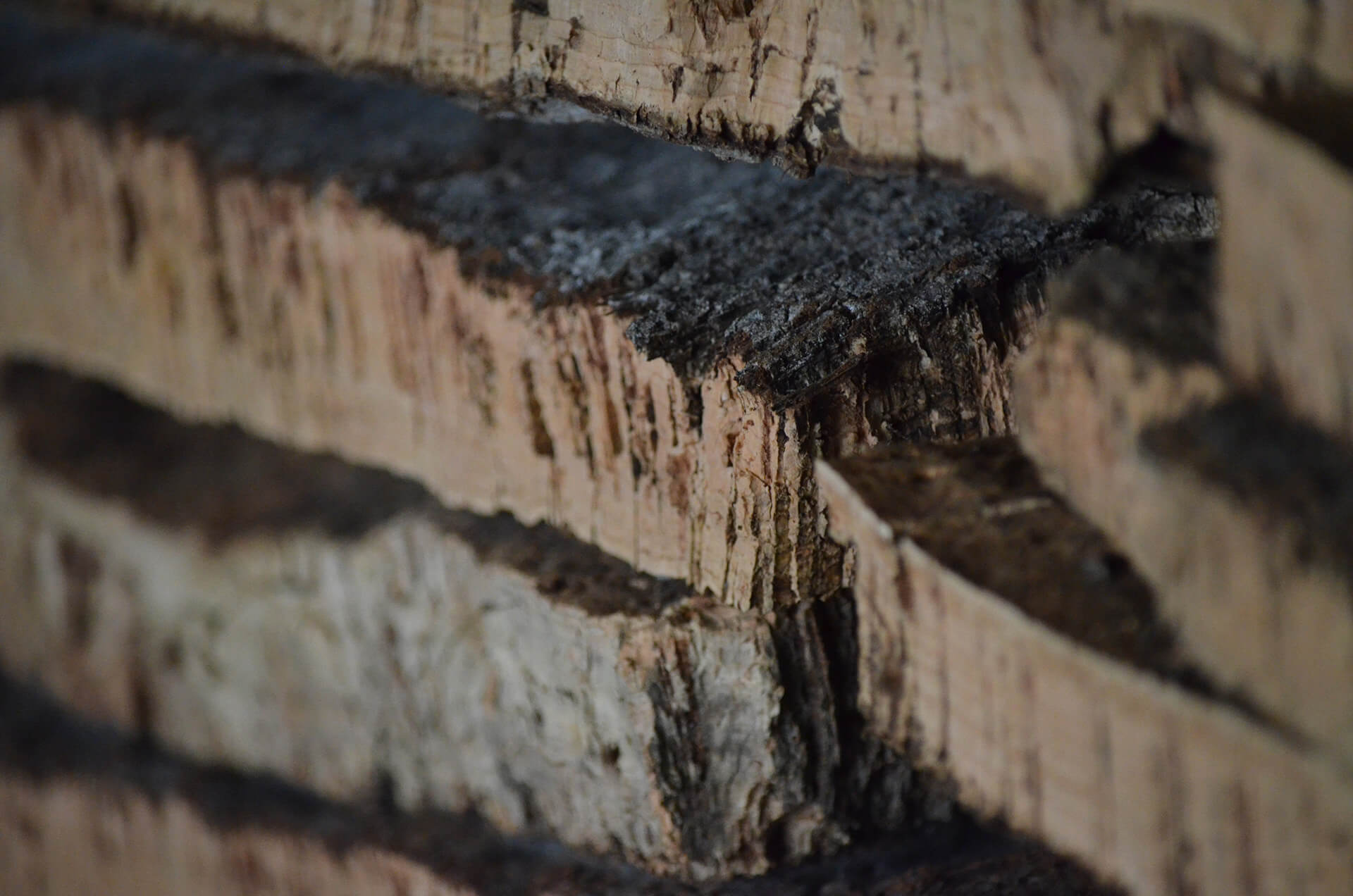 Cork bark stack Korkie