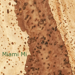 Korkstoff Struktur Miami