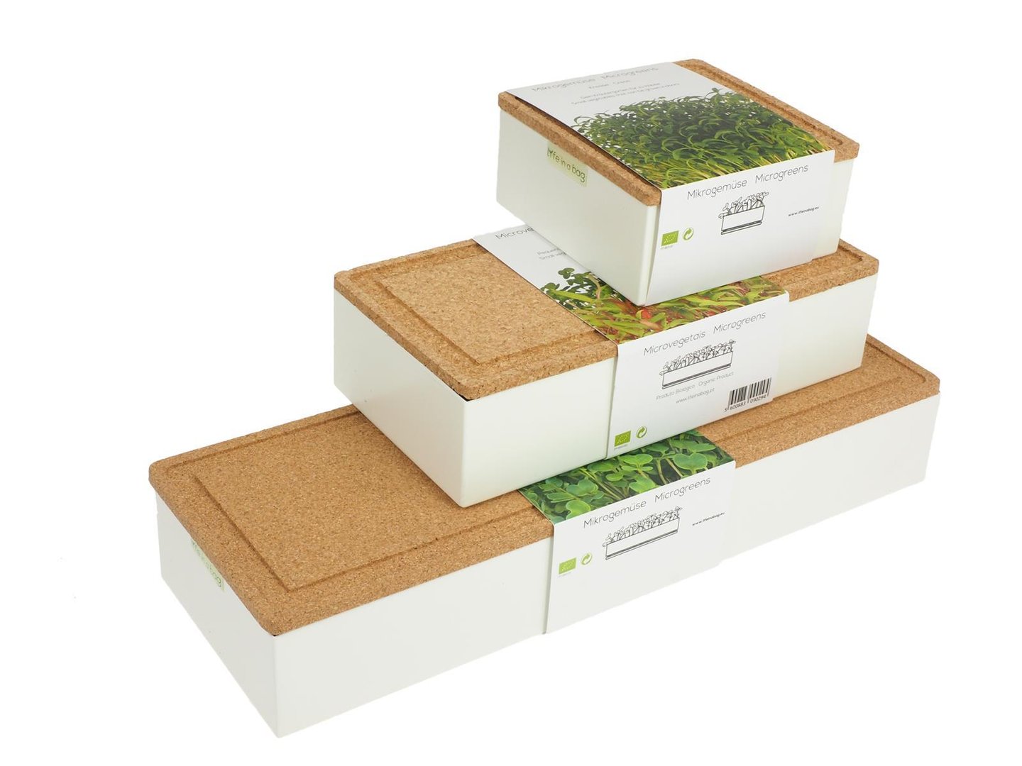 Seed tray Microgreens