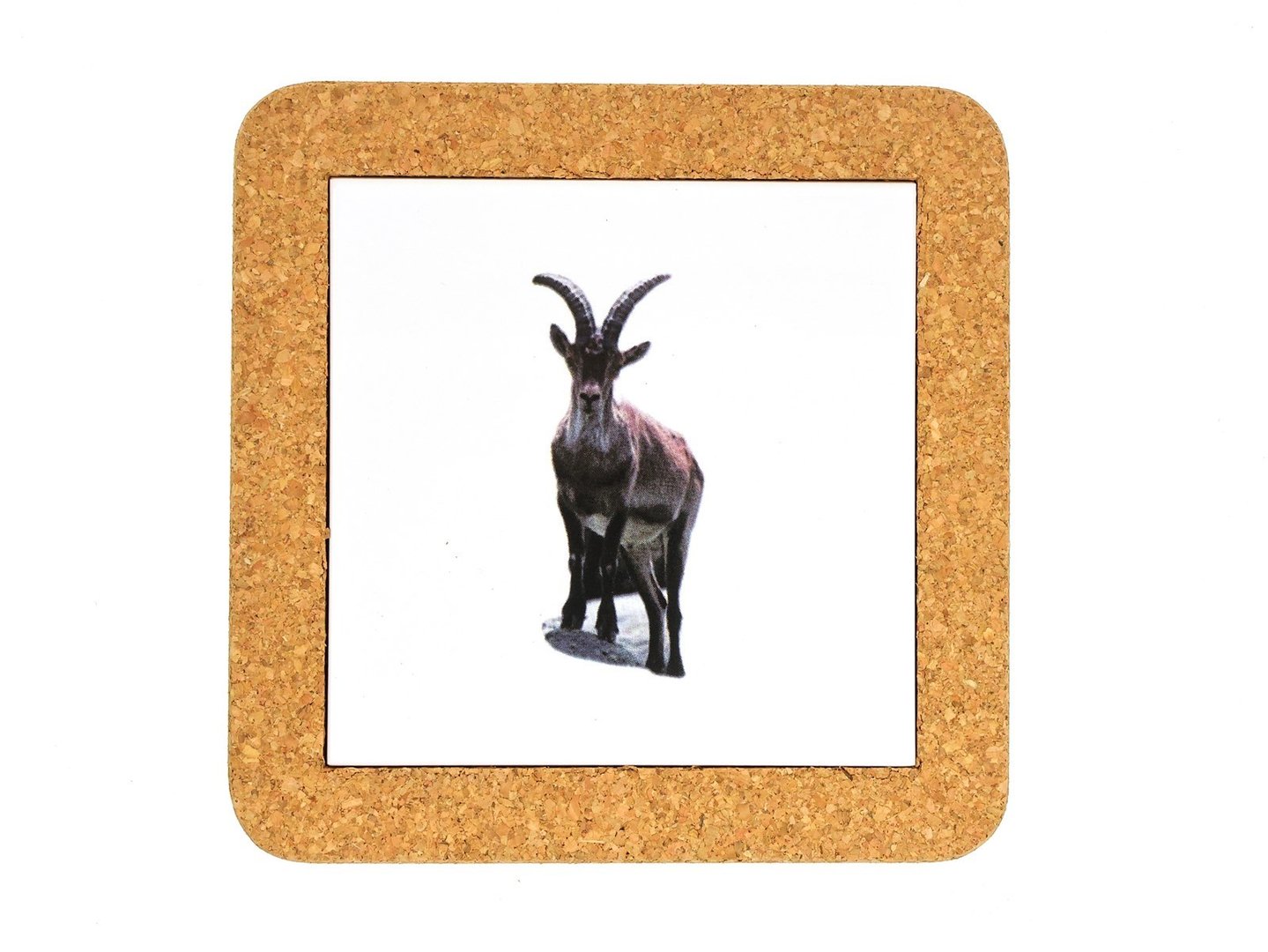 7902 Coaster With Tile Animal World Capricorn
