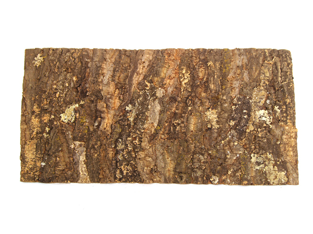 970 1 Aquaristic cork bark wall cork 1