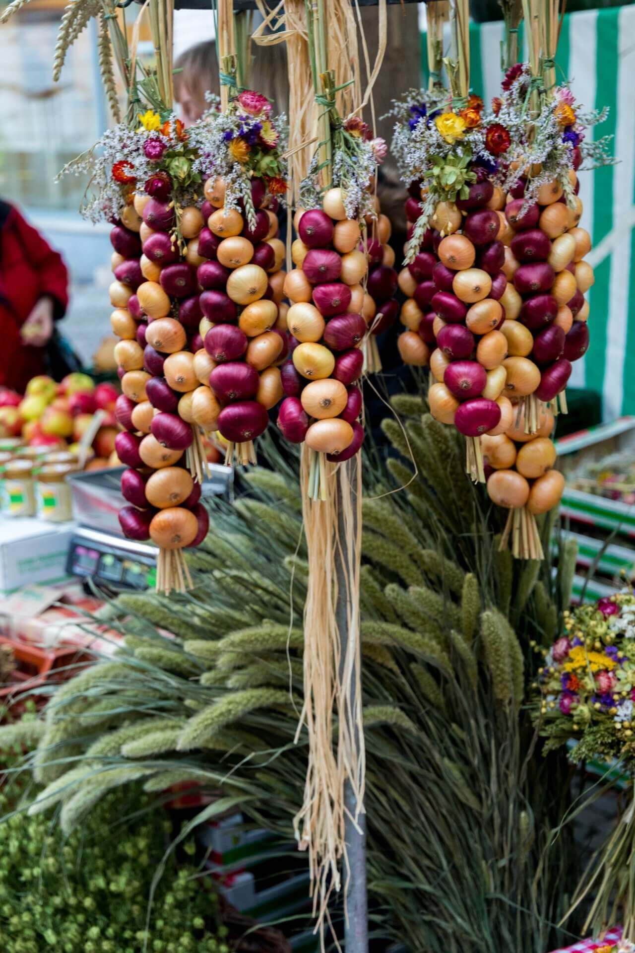 Onion Market Weimar Spikes Grasses