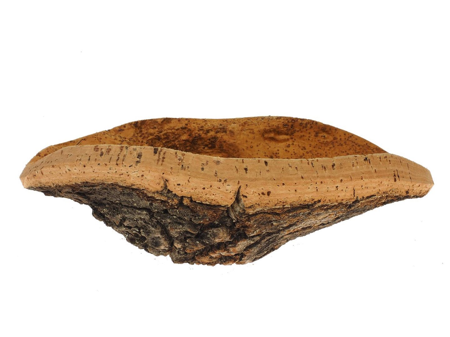 7320.3 5 10 Small cork shell Natural cork shell