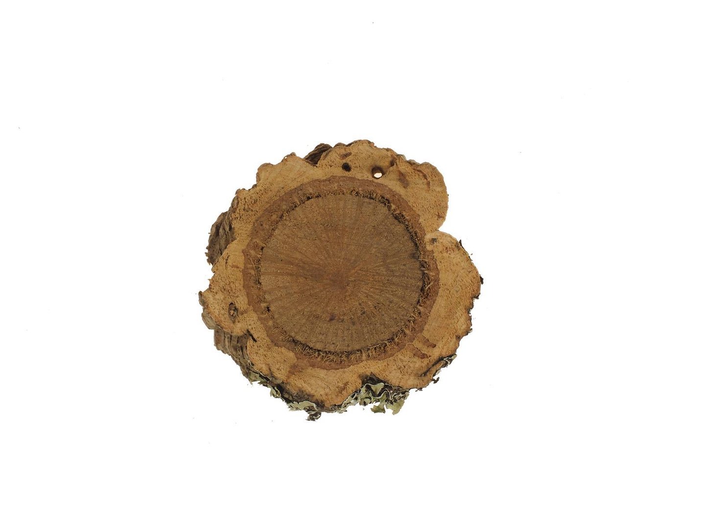 6519 X S Cork oak slice