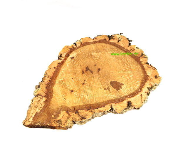 6519 Cork oak discs 2