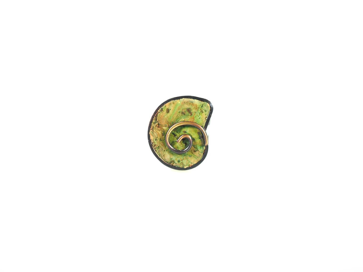 B U R 003.50 Gr Ring snail 1